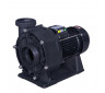 Насос для бассейна Aquaviva LX WTB550 (90м³/ч*10м 5.5кВт 380В)